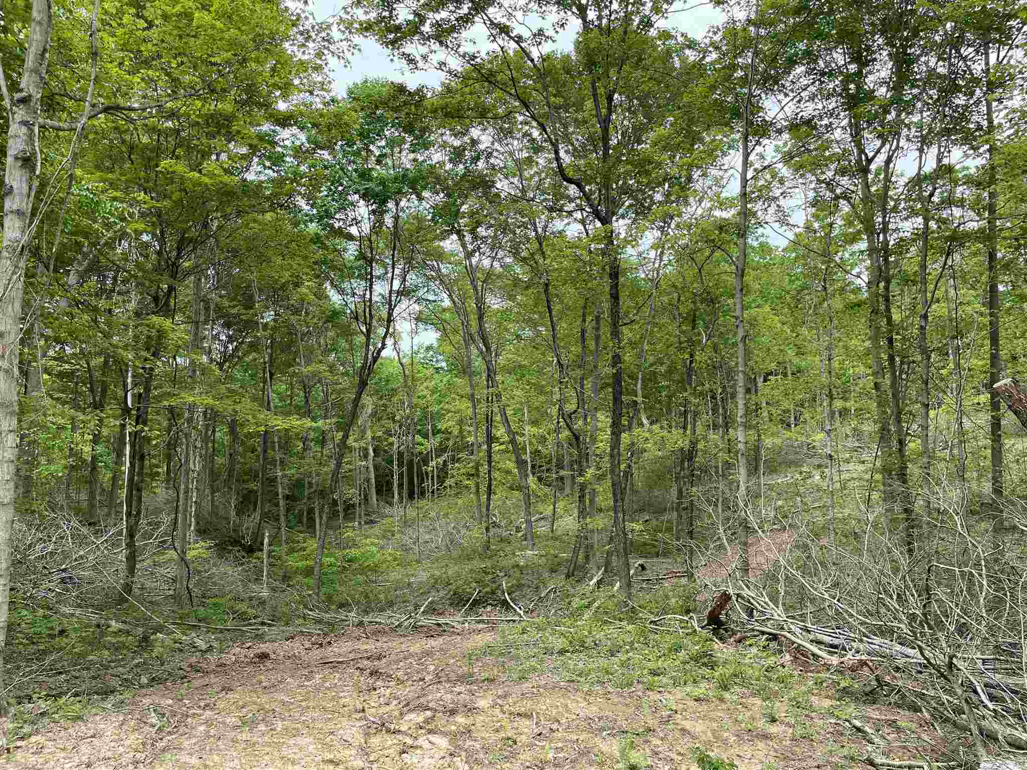 0 South Co Road Paoli, IN 47454 - Photo 12 of 23