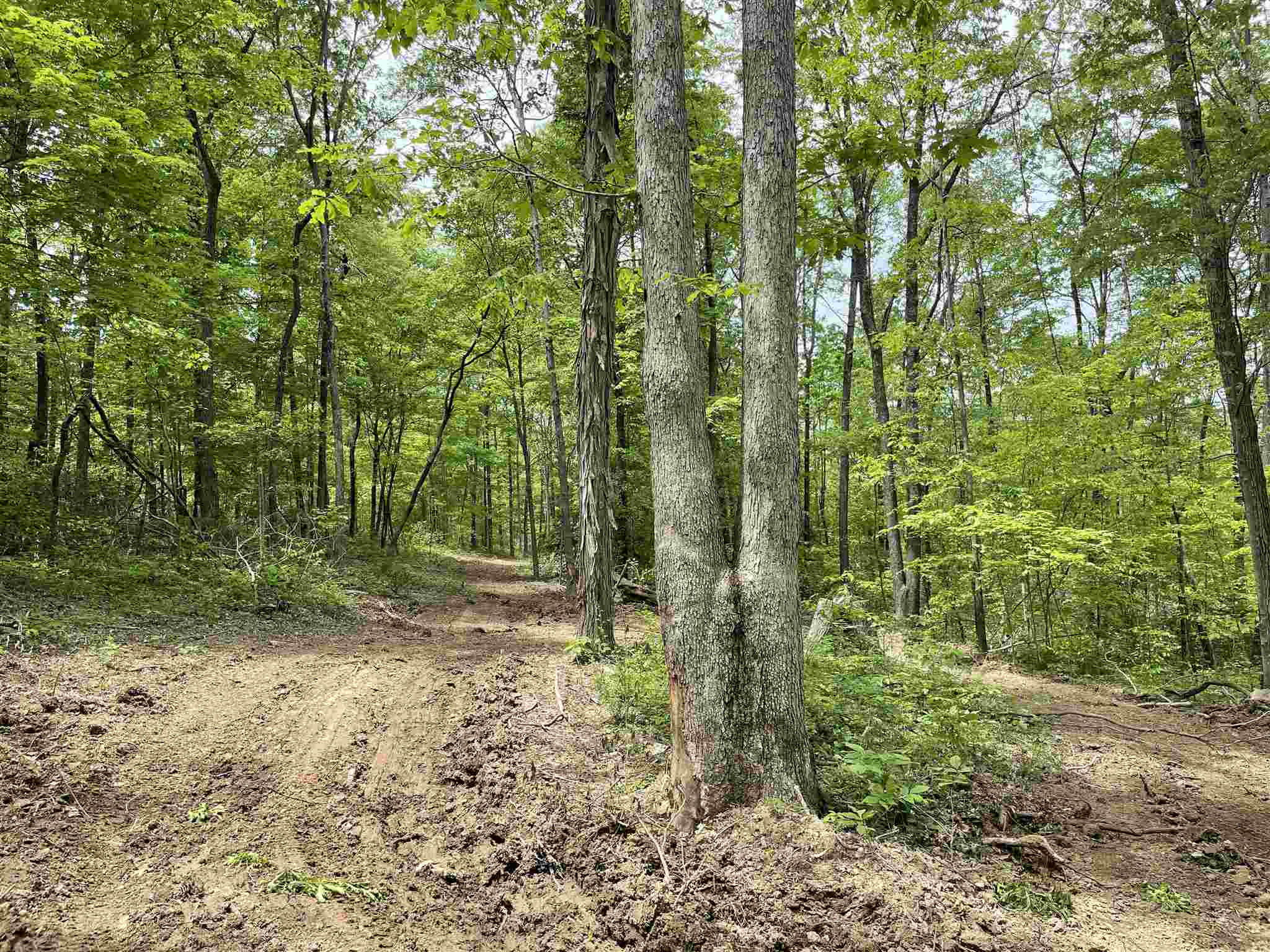 0 South Co Road Paoli, IN 47454 - Photo 13 of 23