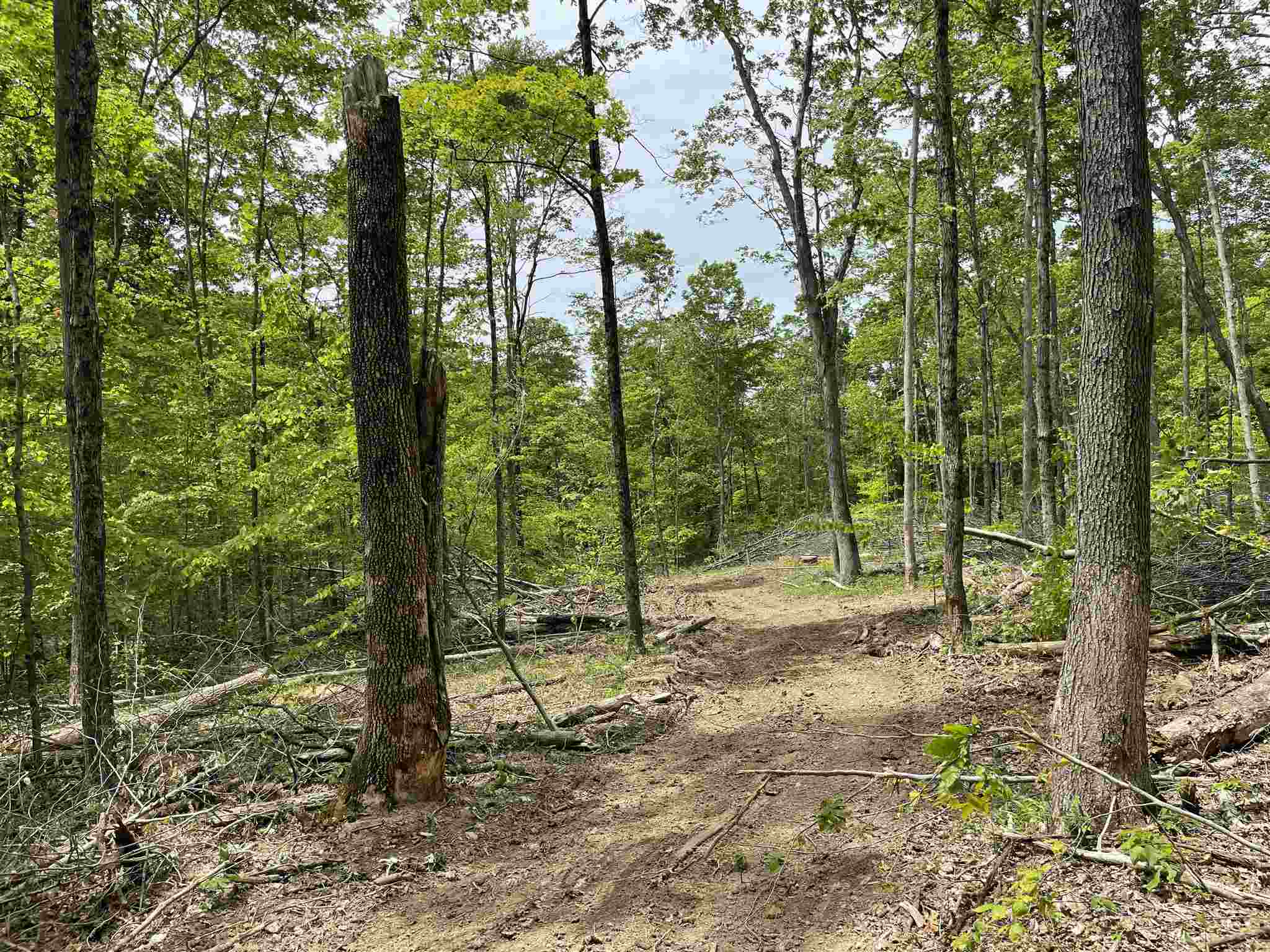 0 South Co Road Paoli, IN 47454 - Photo 14 of 23
