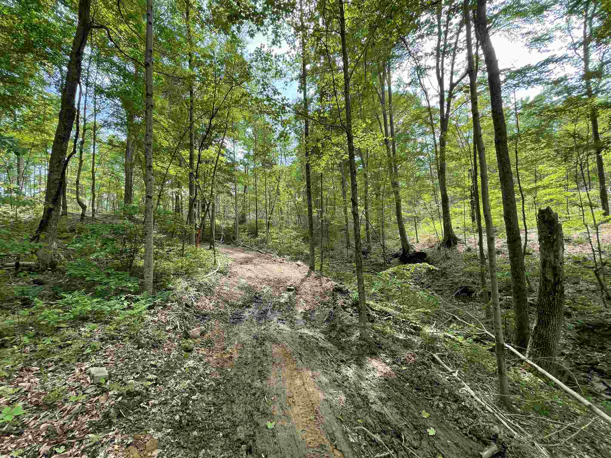 0 South Co Road Paoli, IN 47454 - Photo 16 of 23
