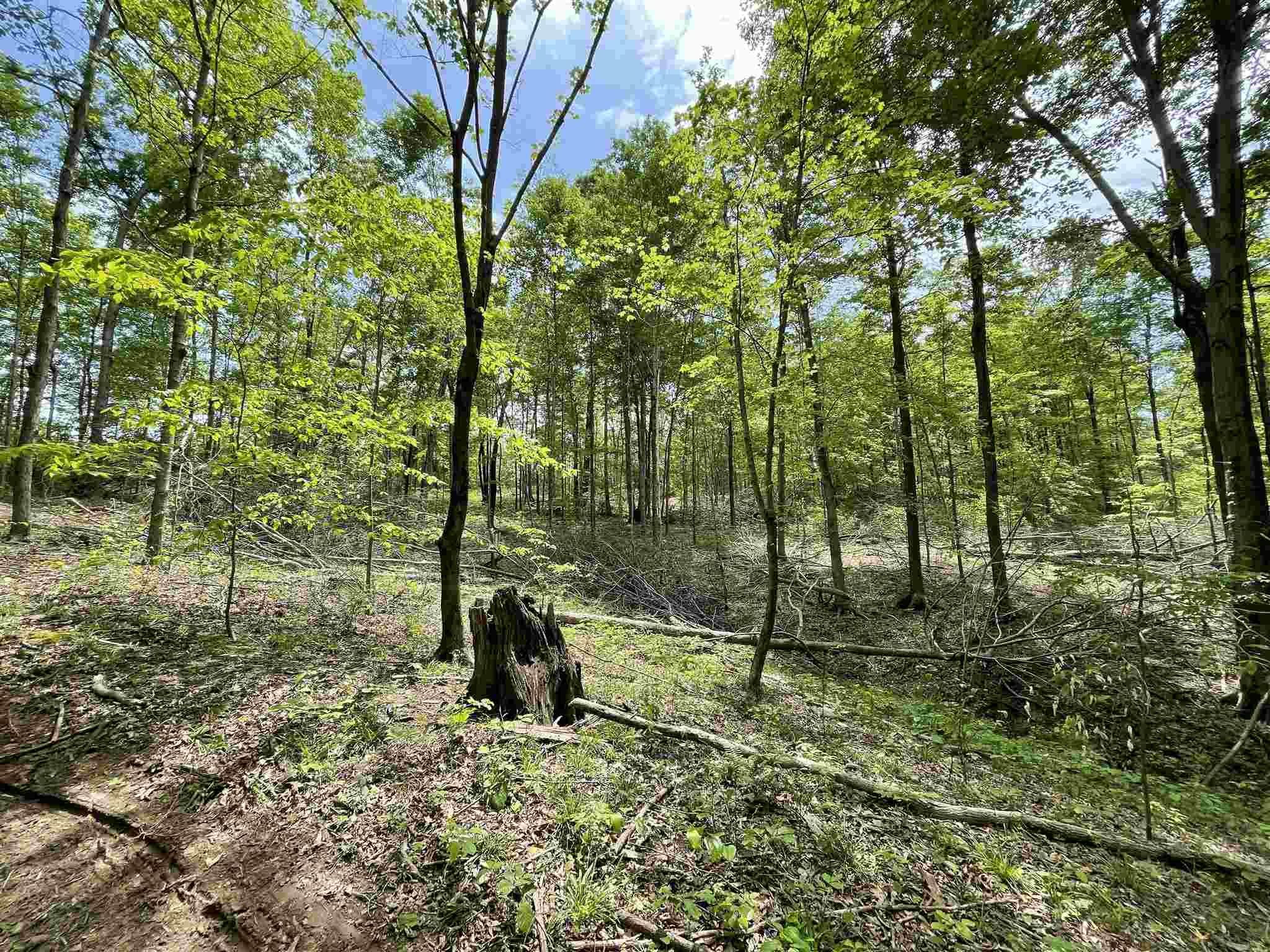 0 South Co Road Paoli, IN 47454 - Photo 17 of 23