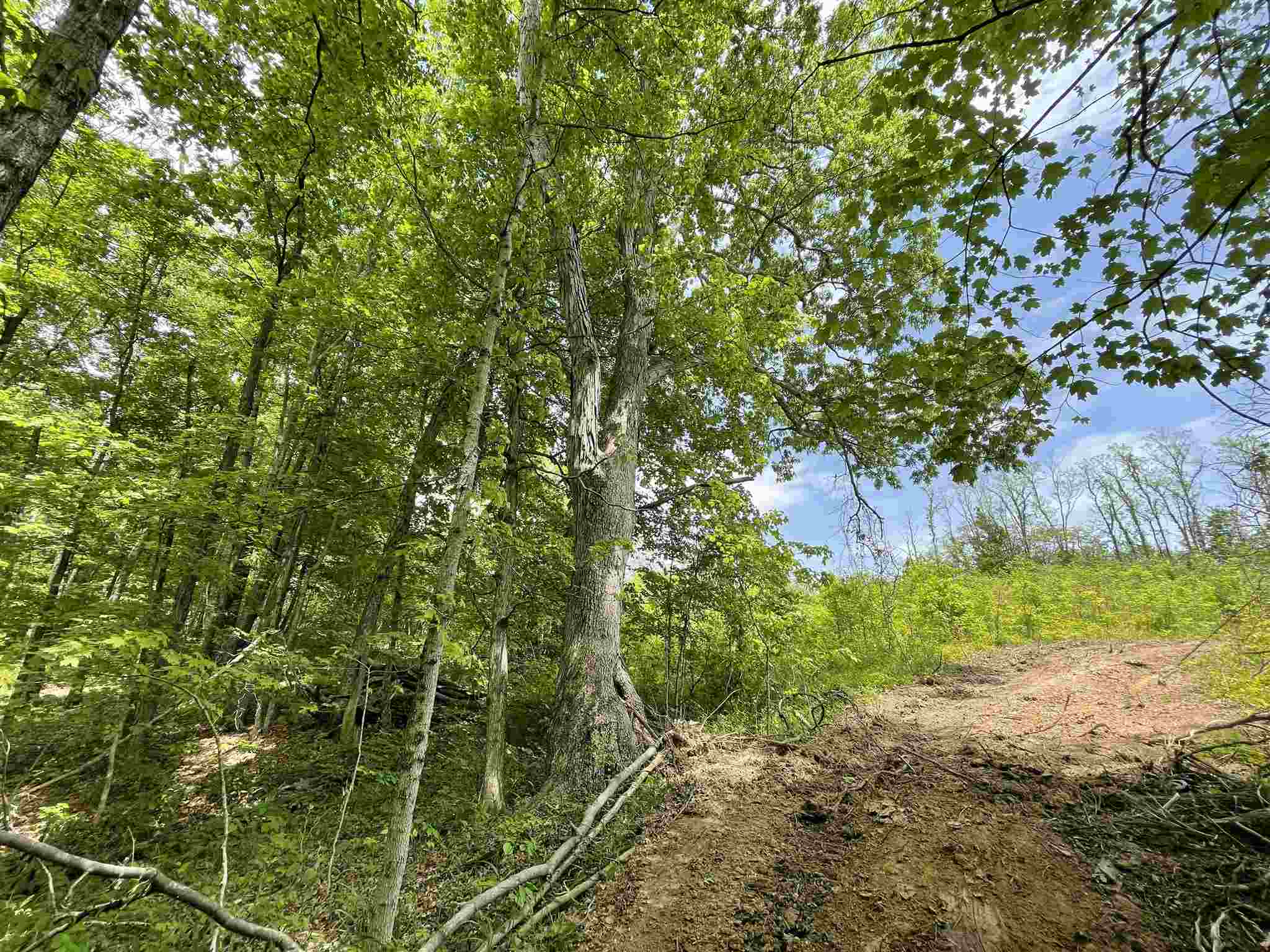 0 South Co Road Paoli, IN 47454 - Photo 18 of 23