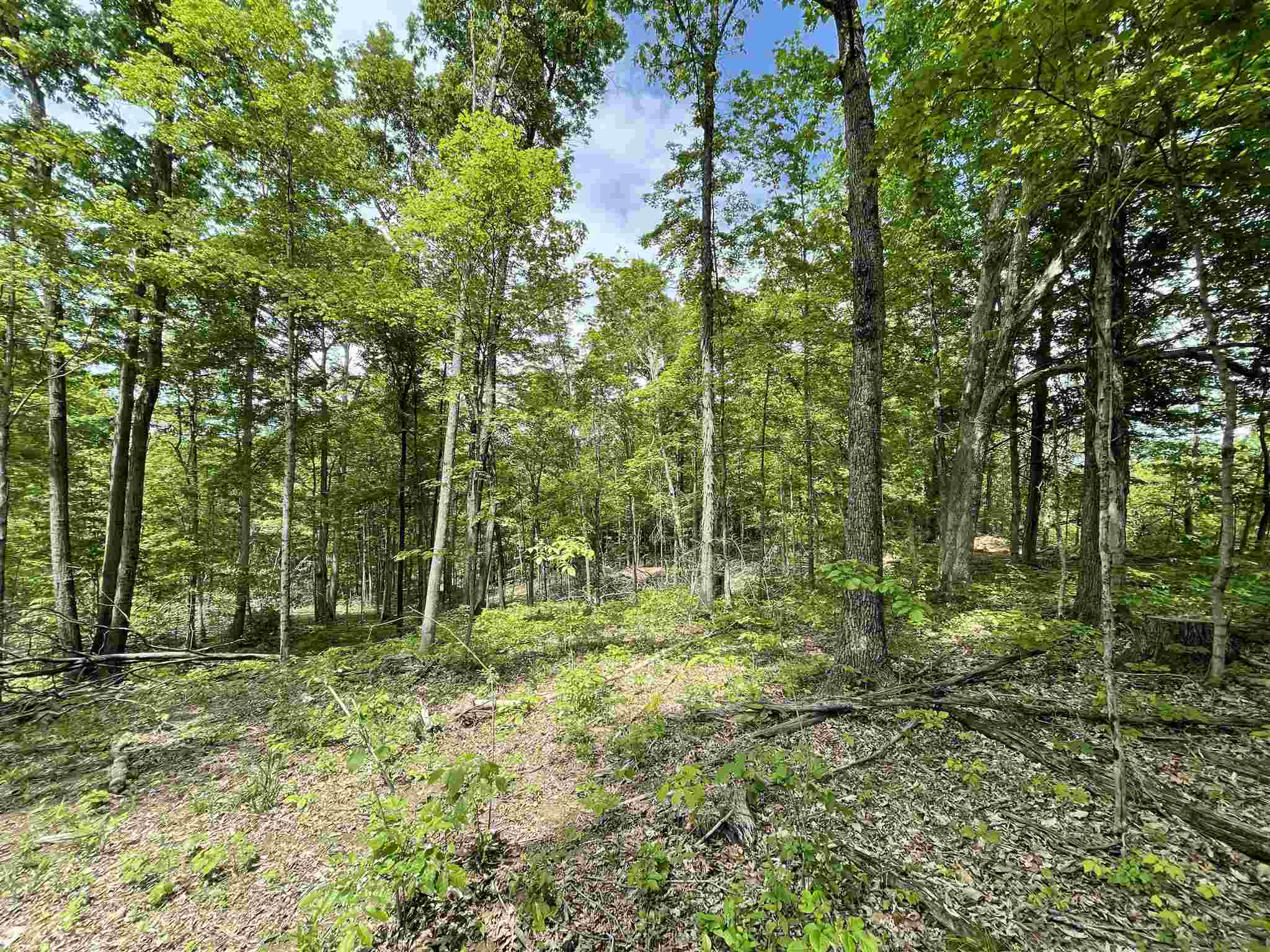 0 South Co Road Paoli, IN 47454 - Photo 20 of 23
