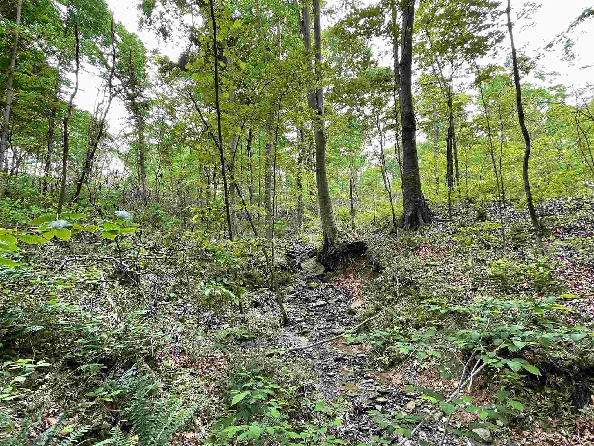 0 South Co Road Paoli, IN 47454 - Photo 7 of 23