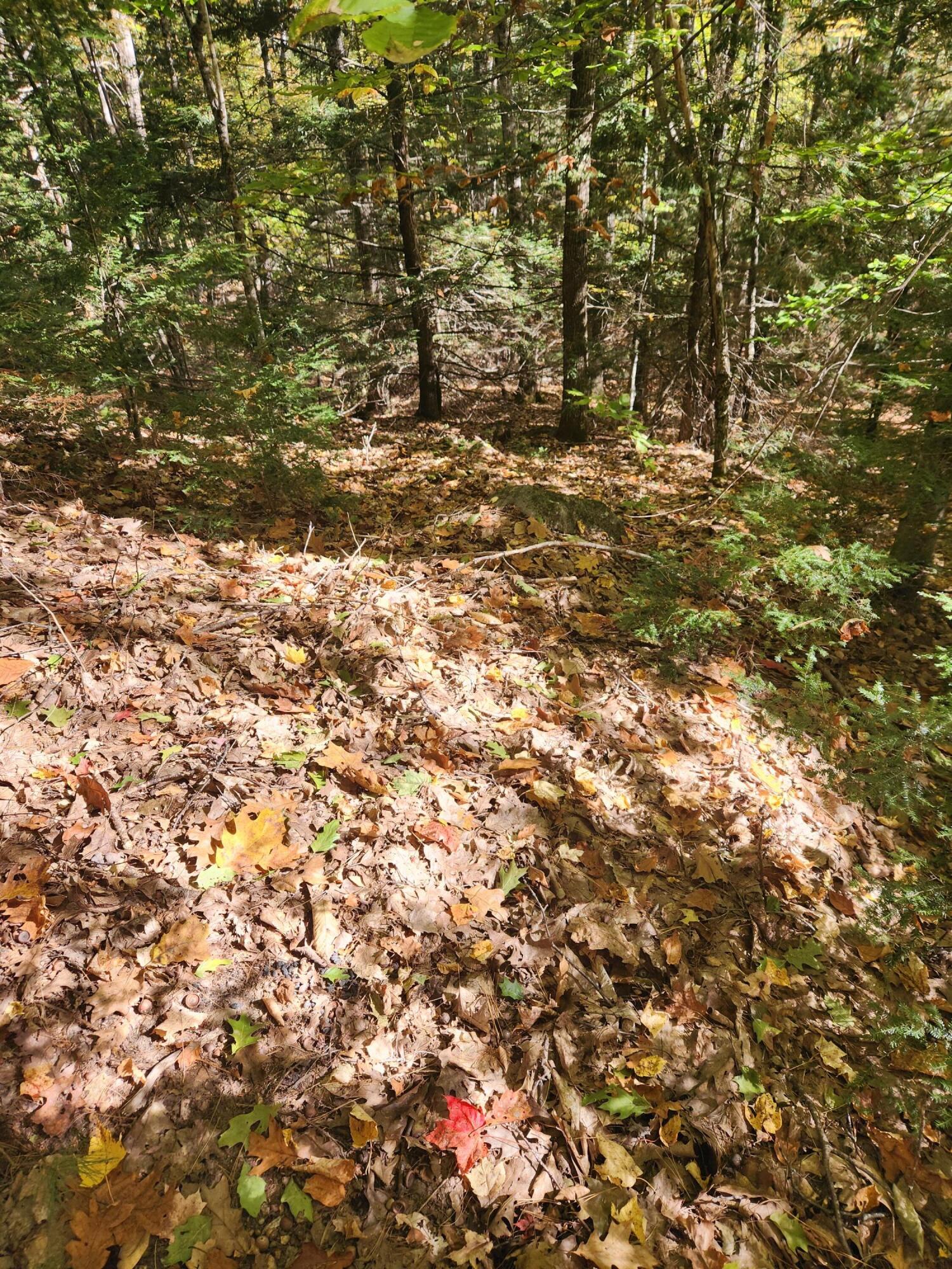 14 D Thomas Hill Road Norway, ME 04268 - Photo 6 of 32 20251002_103210