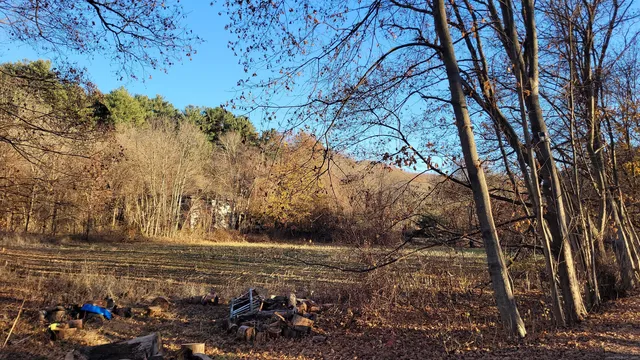 a view of yard with green space