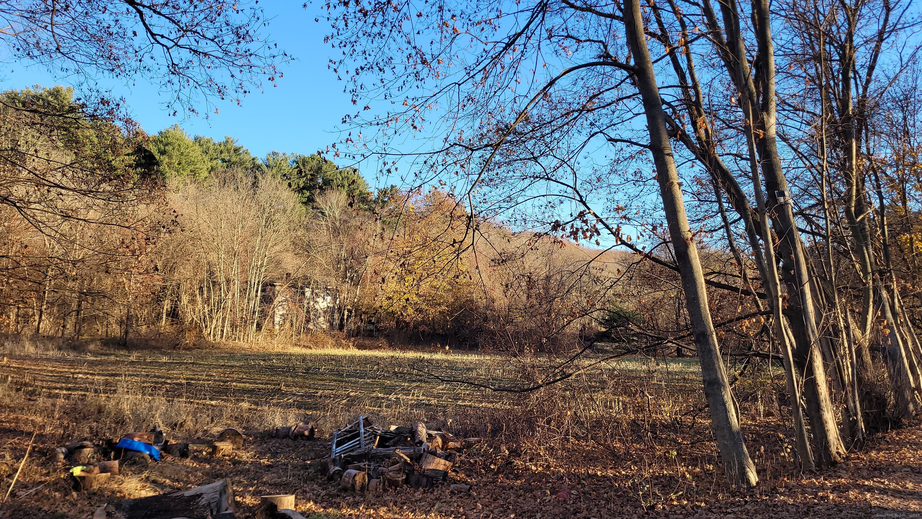 253 Brick Top Road Windham, CT 06280 - Photo 2 of 11 a view of yard with green space