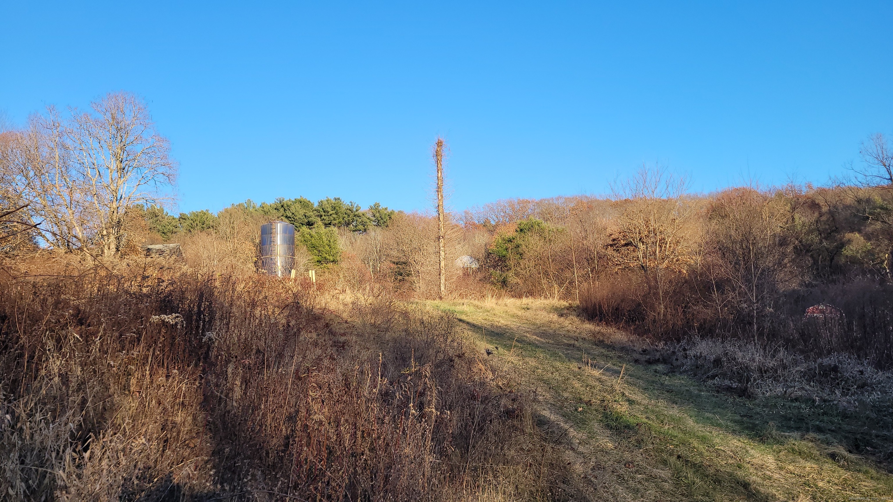 253 Brick Top Road Windham, CT 06280 - Photo 4 of 11 a view of a city with lush green forest