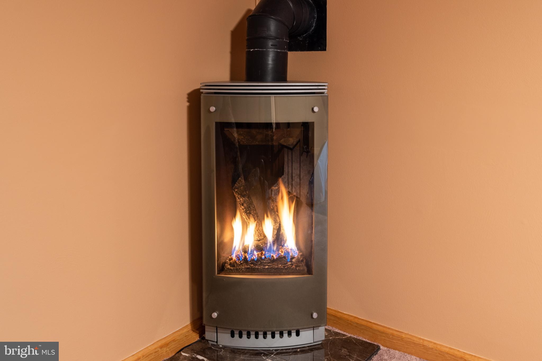 17 Running Court Baltimore, MD 21221 - Photo 19 of 34 Propane fireplace