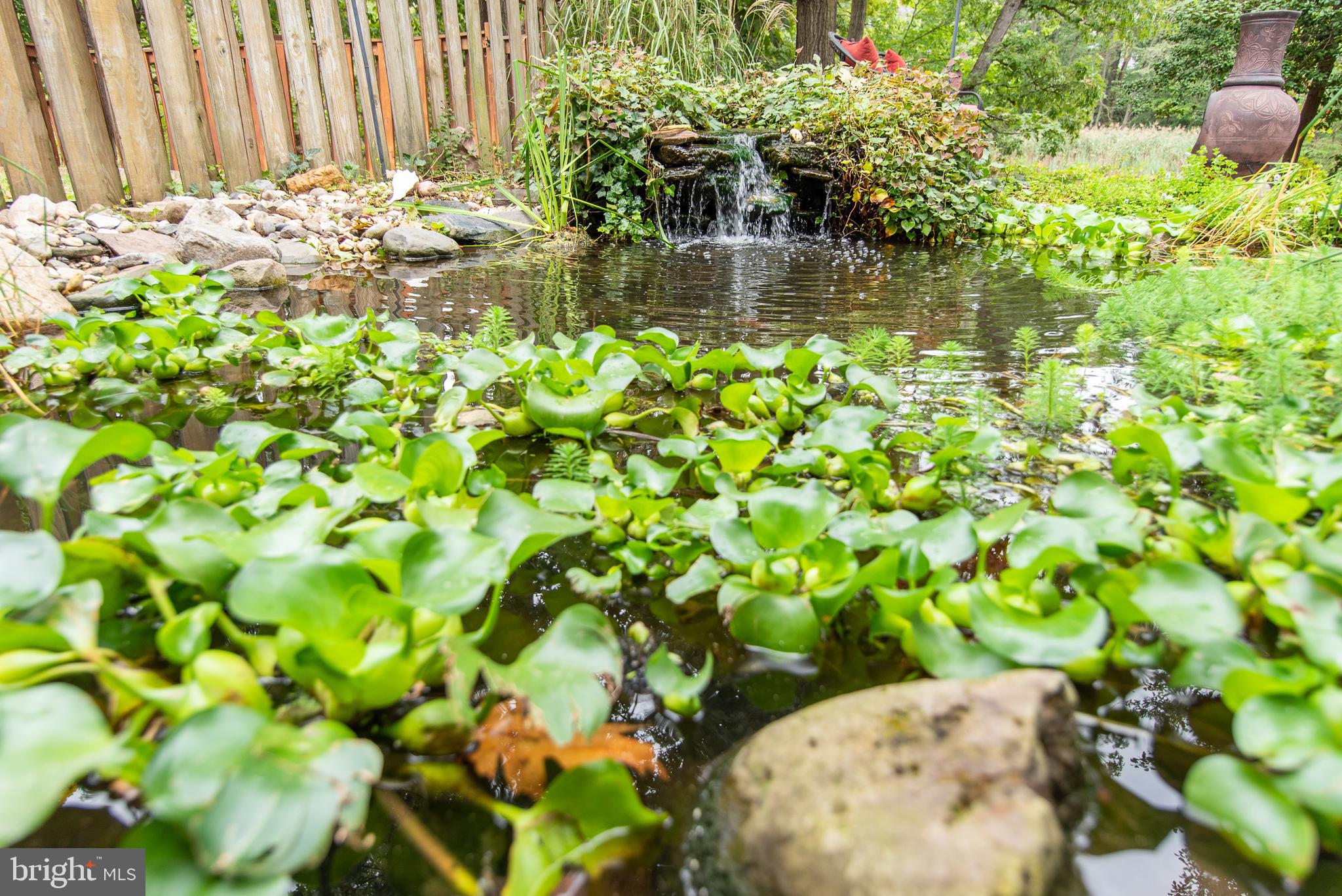 17 Running Court Baltimore, MD 21221 - Photo 27 of 34 Koi Pond