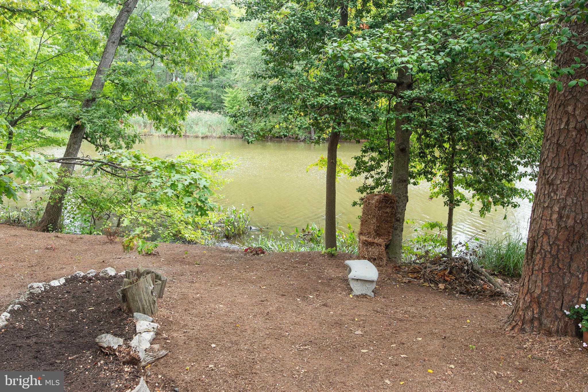 17 Running Court Baltimore, MD 21221 - Photo 30 of 34 Wooded area