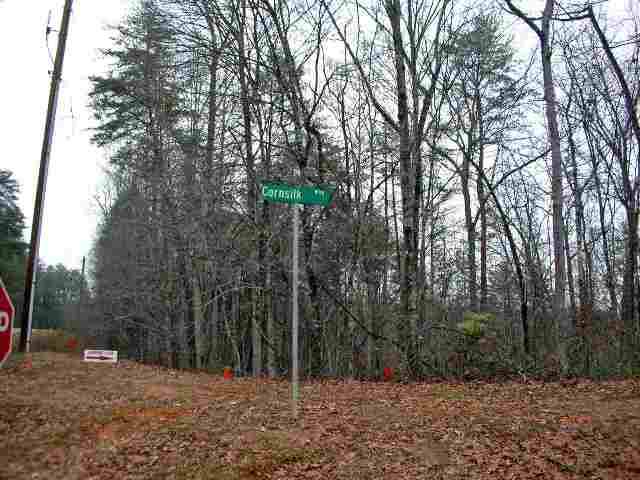 Lot 24 The Cliffs, Unit CORNSILK WAY Sunset, SC 29685 - Photo 5 of 15 Gallery Image 5