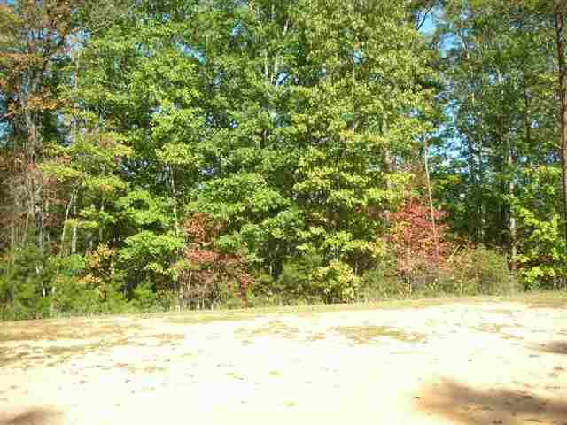 Lot 24 The Cliffs, Unit CORNSILK WAY Sunset, SC 29685 - Photo 7 of 15 Gallery Image 7
