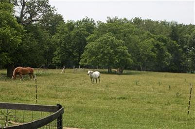 809 Galloway Road Stamping Ground, KY 40379 - Photo 22 of 26 Photo 22