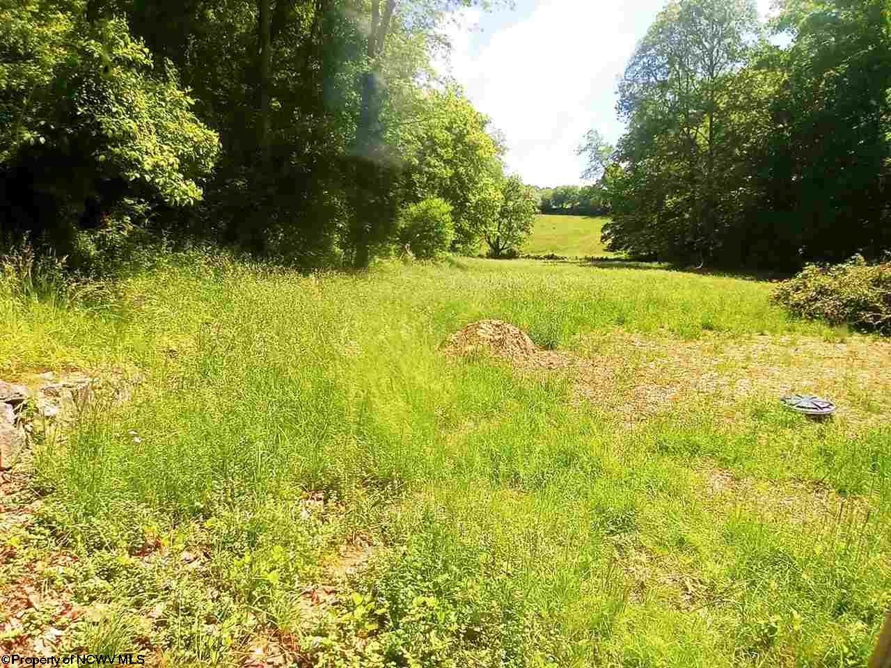 435 Paw Paw Creek Road Fairview, WV 26570 - Photo 10 of 10 Gallery Image 10