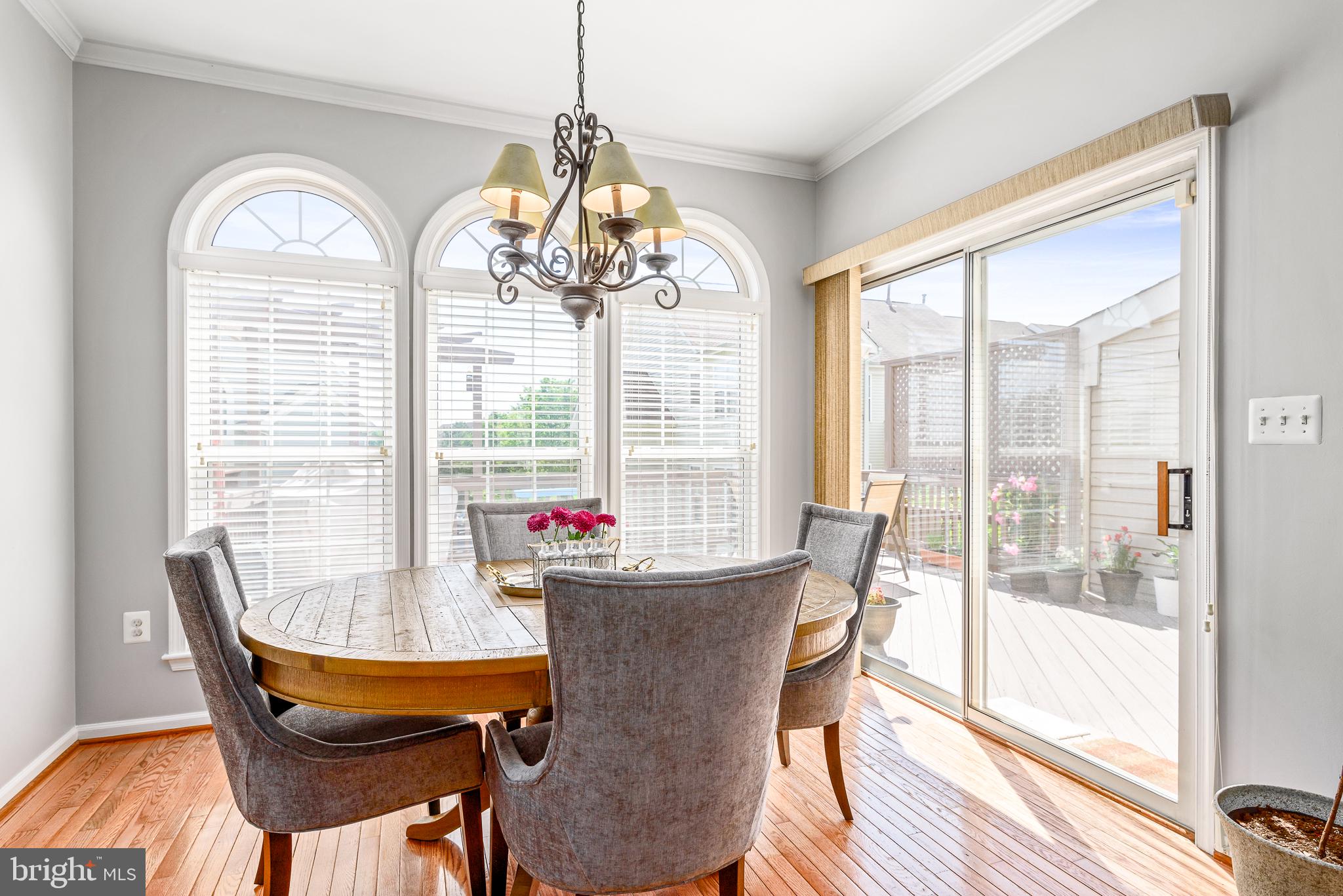 44038 Rising Sun Terrace Ashburn, VA 20147 - Photo 17 of 44 Gallery Image 17