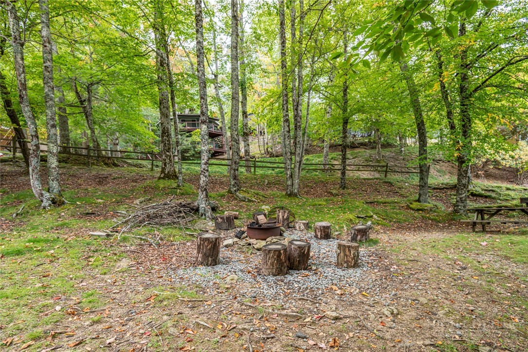 220 Charter Hills Road, Unit C3 Beech Mountain, NC 28604 - Photo 19 of 32 a view of a park with large trees