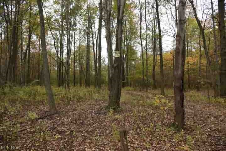 Vl Sunnyside Road Vermilion, OH 44089 - Photo 5 of 17 Gallery Image 5