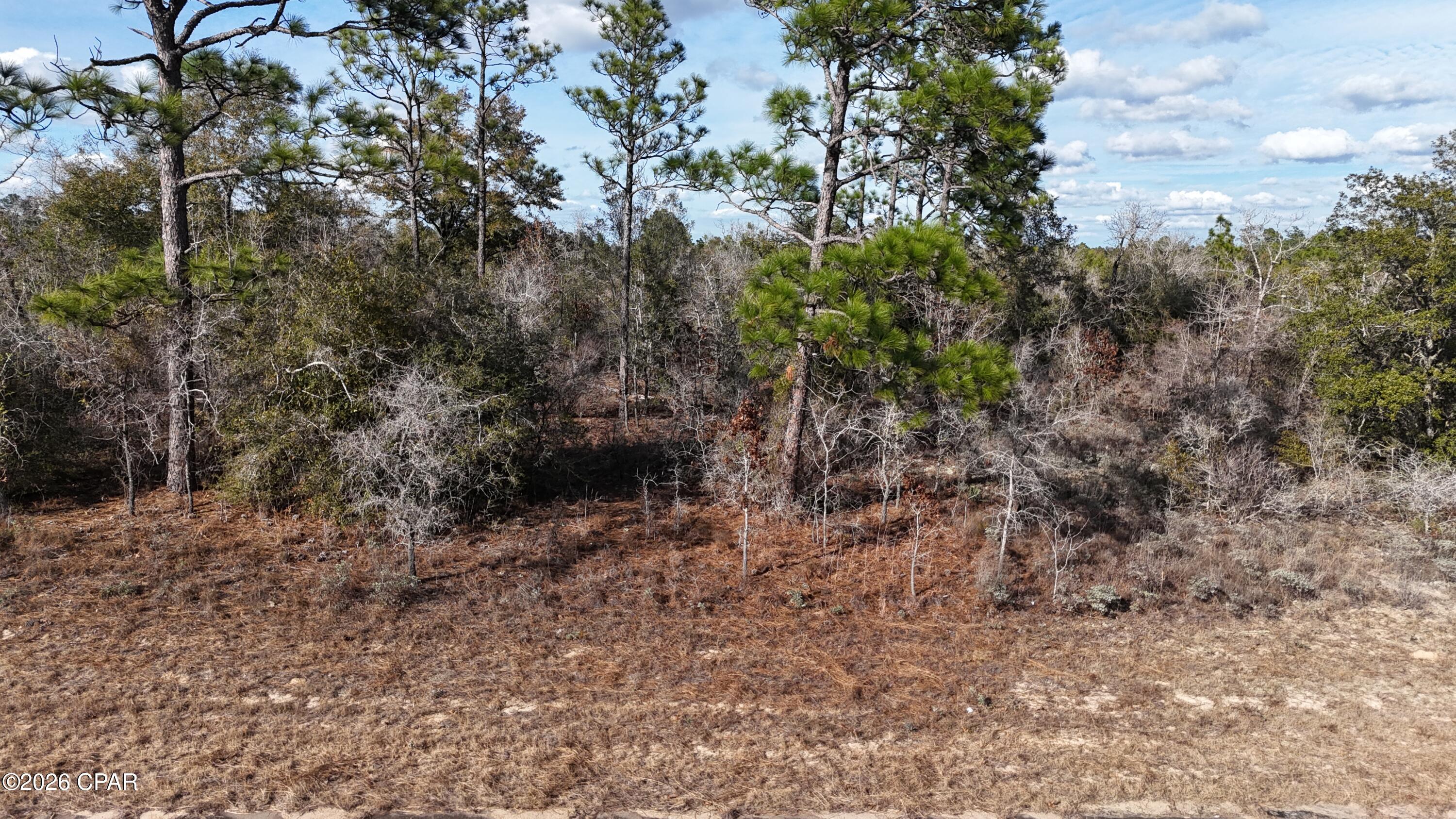 0 Bluestone Drive Chipley, FL 32428 - Photo 1 of 4