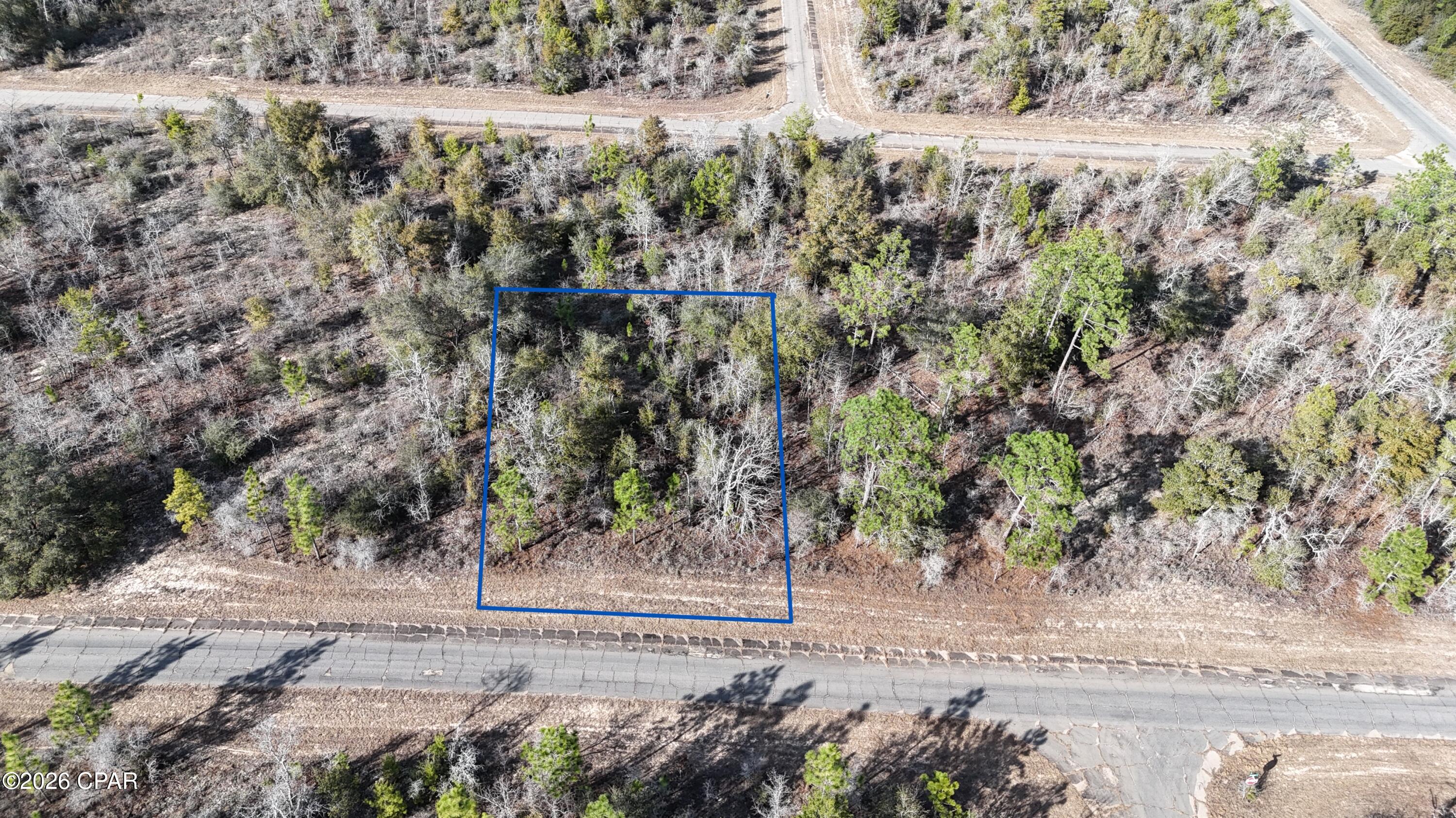 0 Bluestone Drive Chipley, FL 32428 - Photo 3 of 4