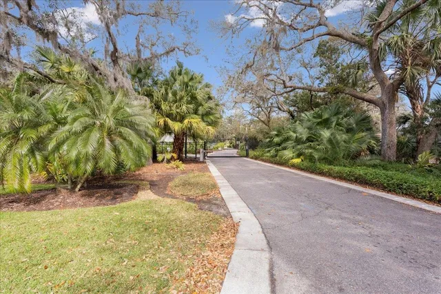 a view of a yard with plants and trees
