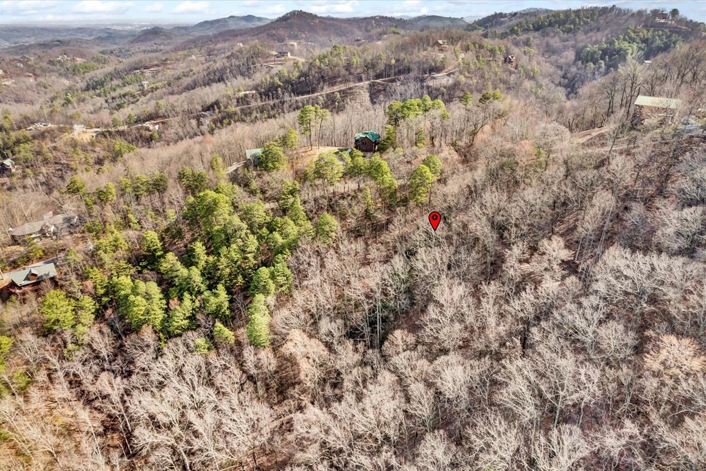 9 Shagbark Hickory Ridge Sevierville, TN 37862 - Photo 17 of 19 Gallery Image 17