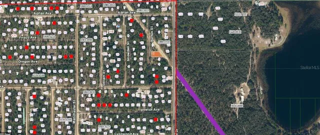 a picture of flowers