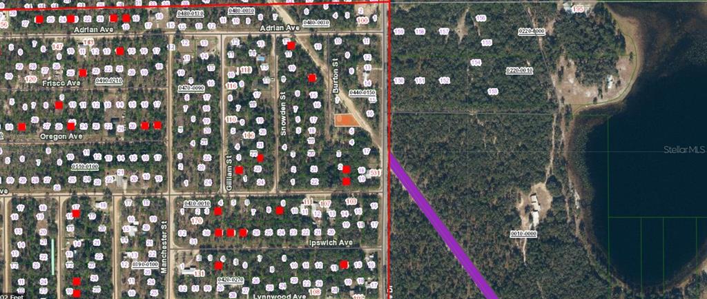 9 Burton Street Interlachen, FL 32148 - Photo 2 of 3 a city view