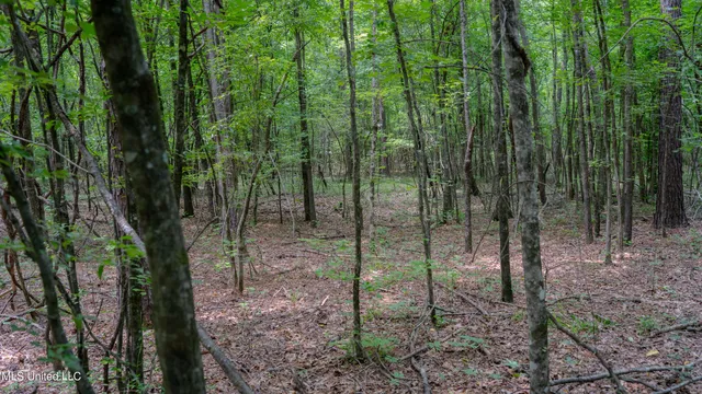 $240,720 | Oooo Big Creek Road, Byram, MS 39212