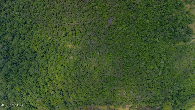 $240,720 | Oooo Big Creek Road, Byram, MS 39212