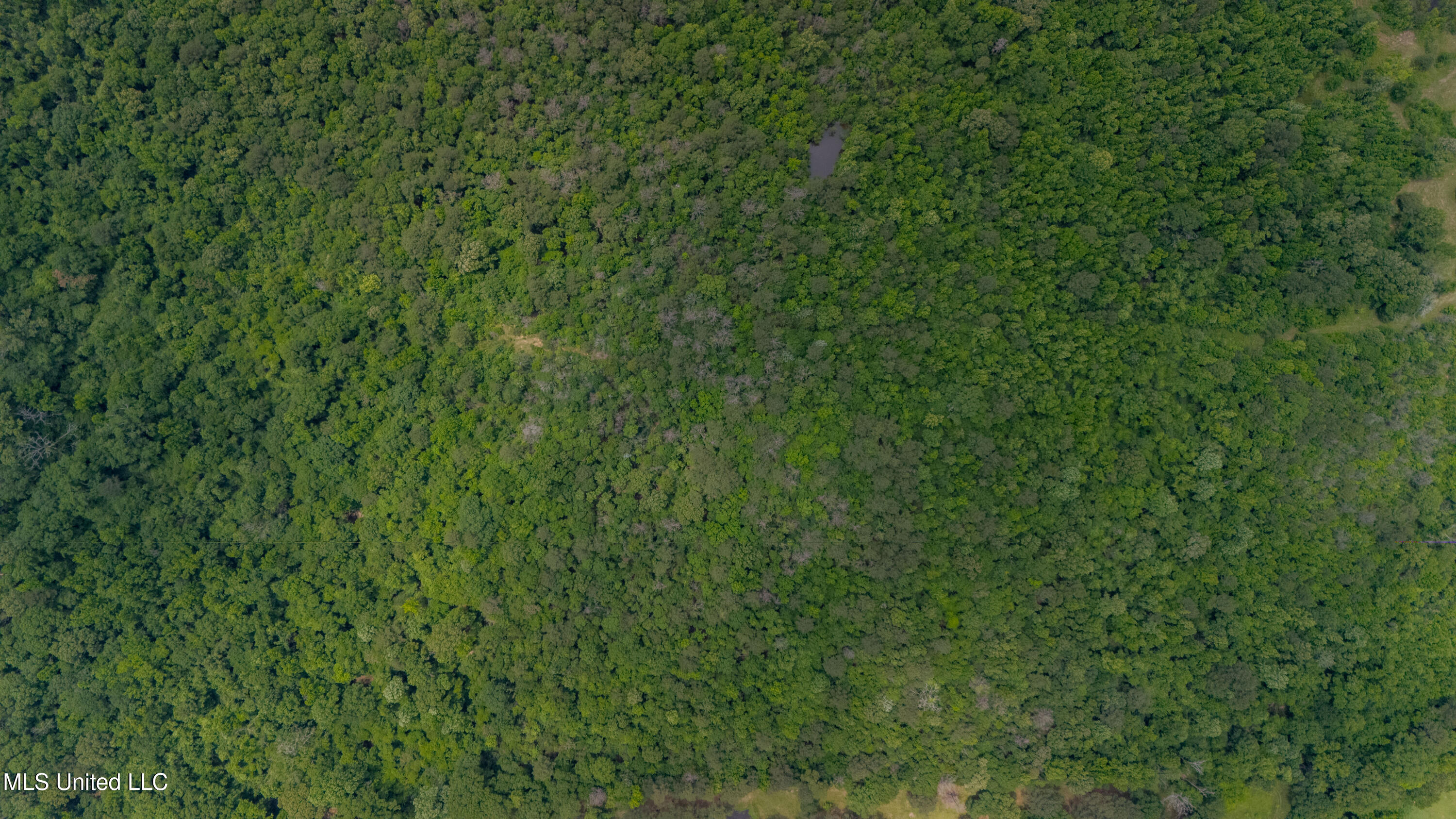 Oooo Big Creek Road Byram, MS 39212 - Photo 18 of 50 56.64 Acre-TERRY-MWLG-20