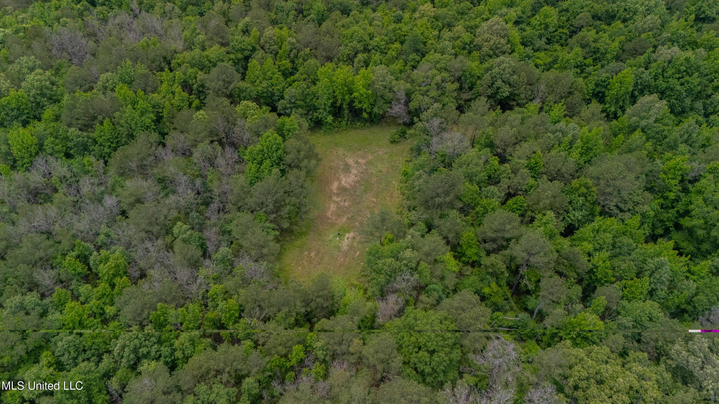 Oooo Big Creek Road Byram, MS 39212 - Photo 20 of 50 56.64 Acre-TERRY-MWLG-22