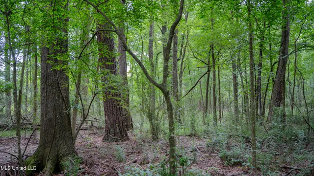 $240,720 | Oooo Big Creek Road, Byram, MS 39212