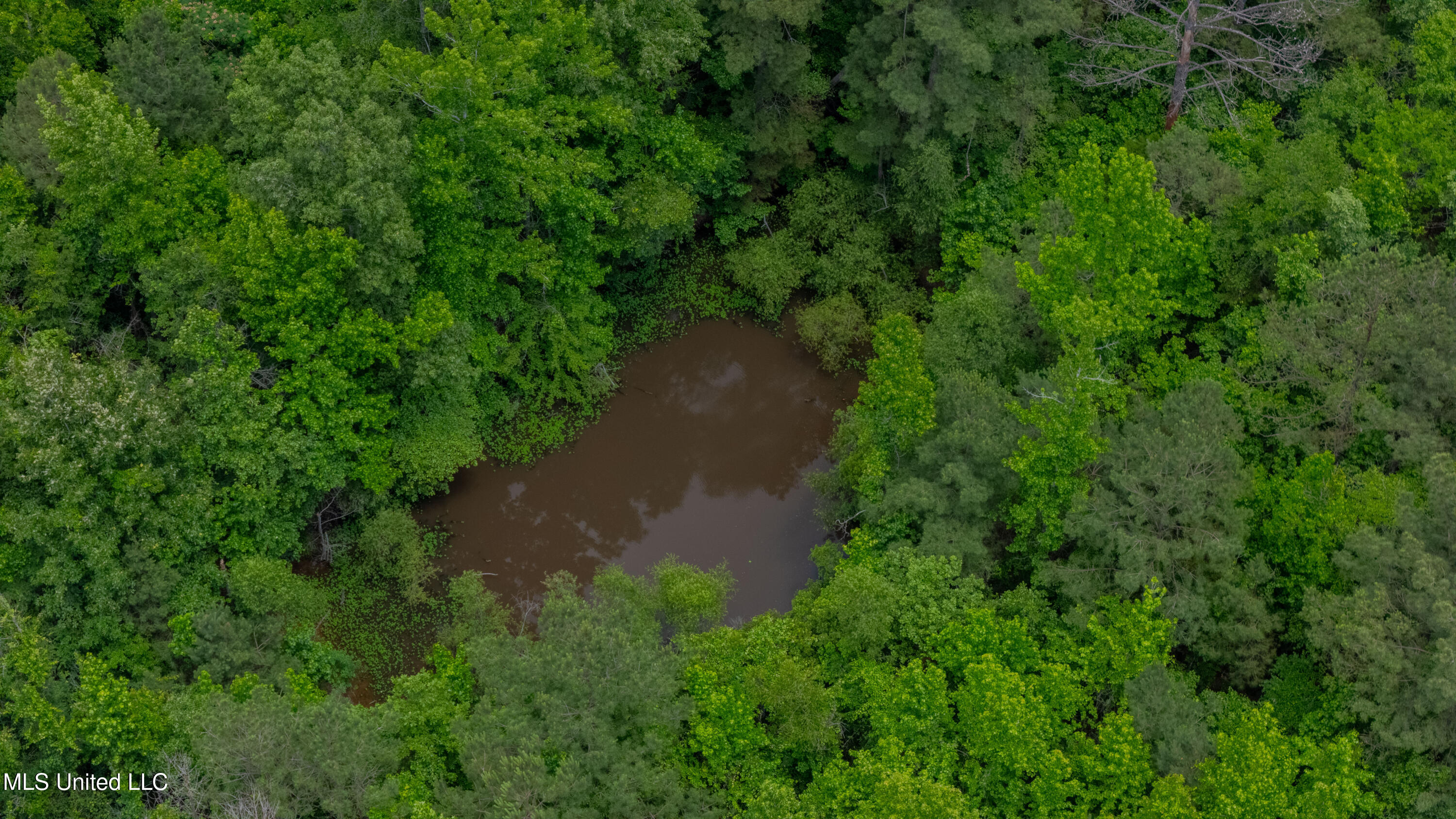 Oooo Big Creek Road Byram, MS 39212 - Photo 21 of 50 56.64 Acre-TERRY-MWLG-23