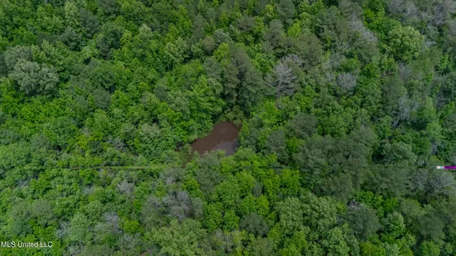 $240,720 | Oooo Big Creek Road, Byram, MS 39212
