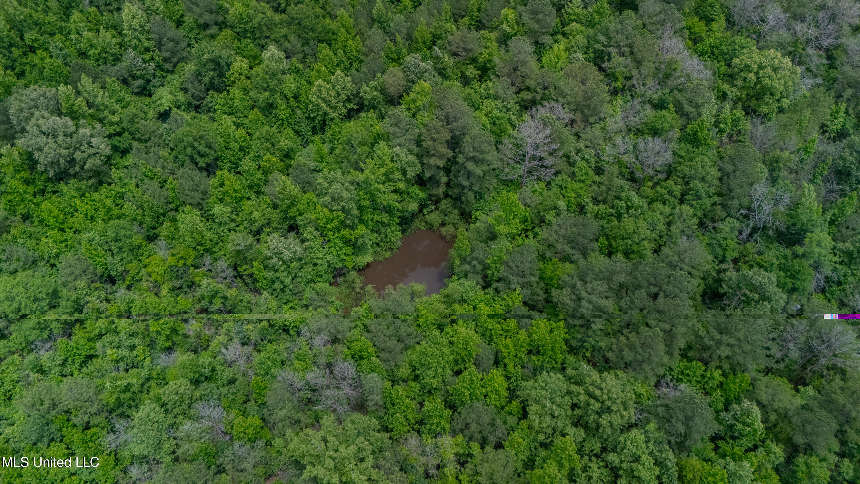 Oooo Big Creek Road Byram, MS 39212 - Photo 22 of 50 56.64 Acre-TERRY-MWLG-24