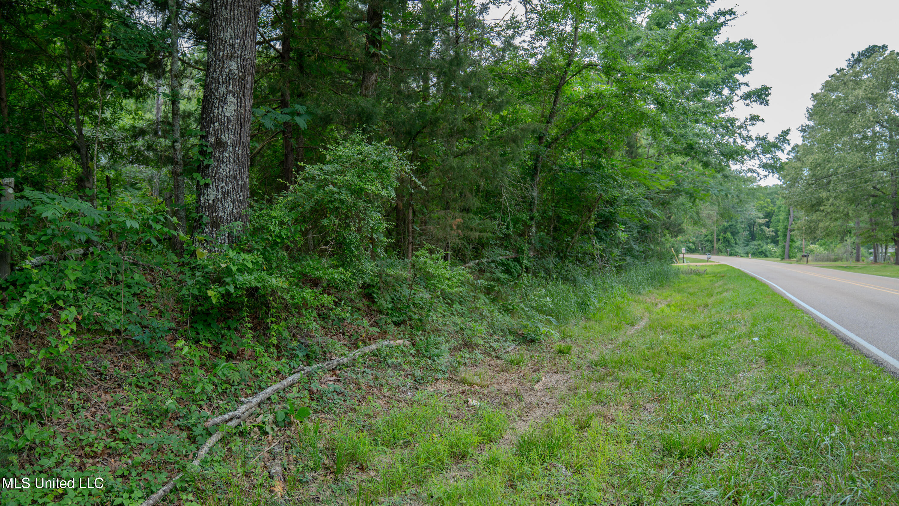 Oooo Big Creek Road Byram, MS 39212 - Photo 23 of 50 56.64 Acre-TERRY-MWLG-25