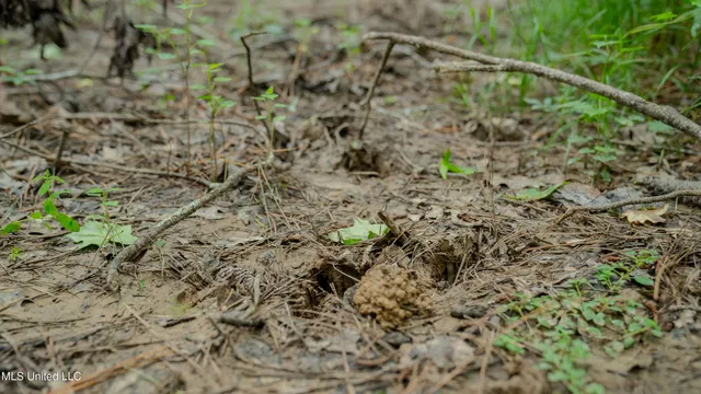 $240,720 | Oooo Big Creek Road, Byram, MS 39212