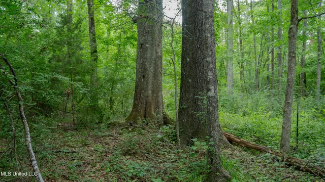 $240,720 | Oooo Big Creek Road, Byram, MS 39212