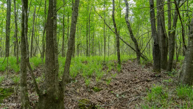 $240,720 | Oooo Big Creek Road, Byram, MS 39212