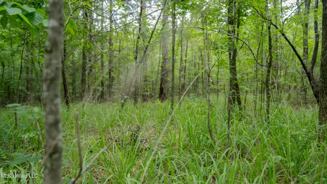 $240,720 | Oooo Big Creek Road, Byram, MS 39212