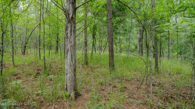 $240,720 | Oooo Big Creek Road, Byram, MS 39212