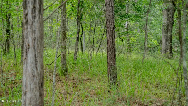 $240,720 | Oooo Big Creek Road, Byram, MS 39212