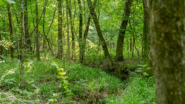 $240,720 | Oooo Big Creek Road, Byram, MS 39212
