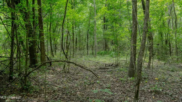 $240,720 | Oooo Big Creek Road, Byram, MS 39212