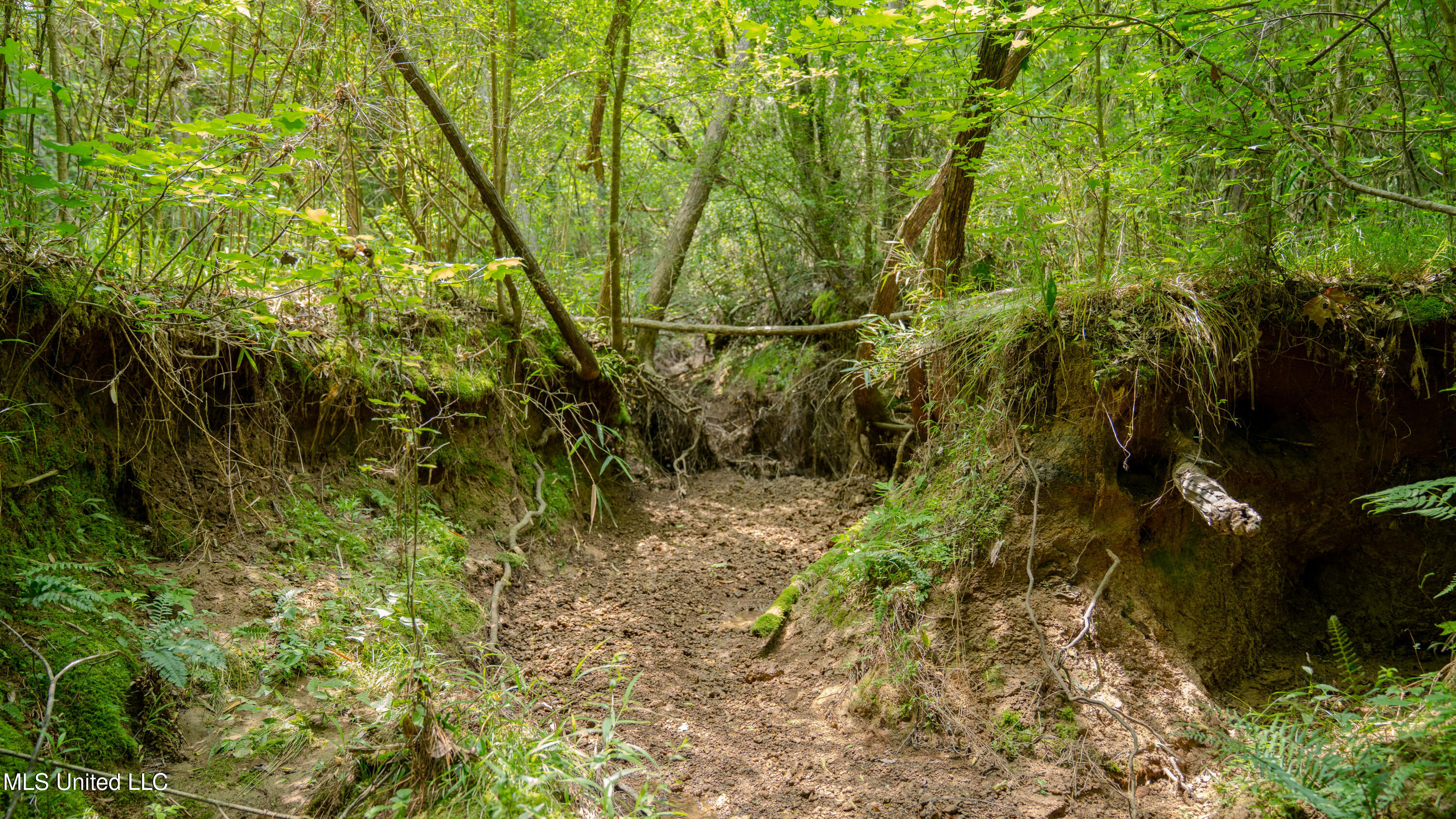 Oooo Big Creek Road Byram, MS 39212 - Photo 40 of 50 56.64 Acre-TERRY-MWLG-42