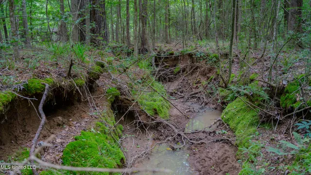 $240,720 | Oooo Big Creek Road, Byram, MS 39212