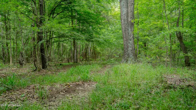 $240,720 | Oooo Big Creek Road, Byram, MS 39212
