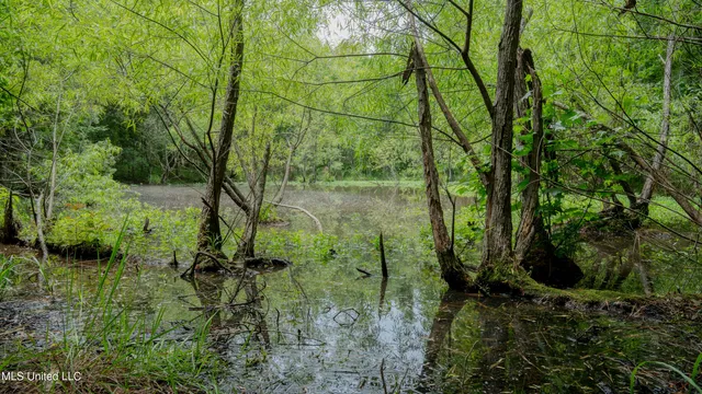 $240,720 | Oooo Big Creek Road, Byram, MS 39212