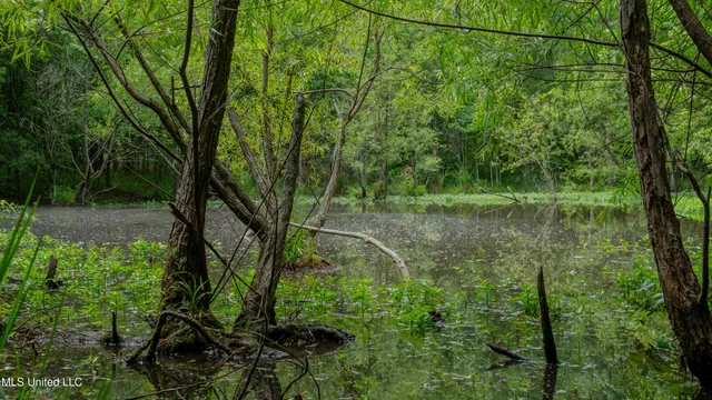 $240,720 | Oooo Big Creek Road, Byram, MS 39212